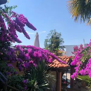  Apartman Ana